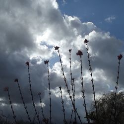 Low angle view of cloudy sky