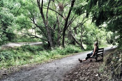 Trees in park