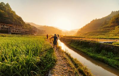 Farmers on footpath amidst stream and crops during sunrise