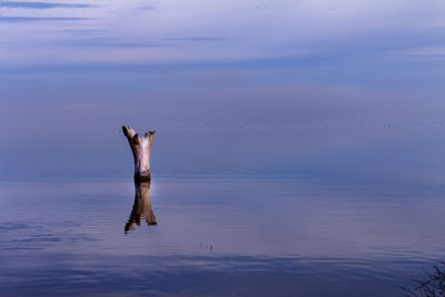 Driftwood amidst sea against sky at dusk