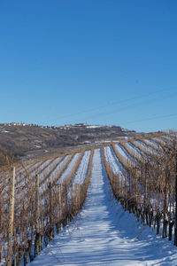 Scenic view of snowy field against clear blue sky