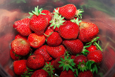 Homegrown strawberries , ripe of tasty berries