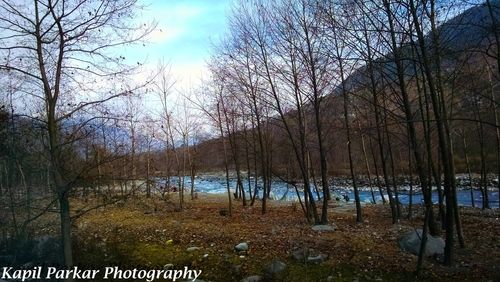 Bare trees on field against sky