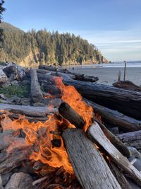 Oregon coast driftwood fire