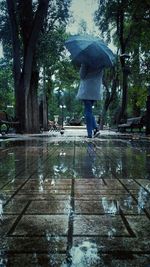 Silhouette of woman in water