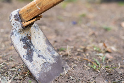 High angle view of wood on field