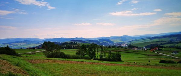 Scenic view of agricultural field against sky