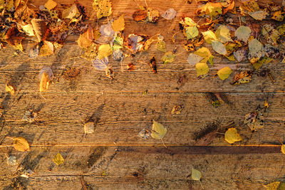 Full frame shot of wooden wall