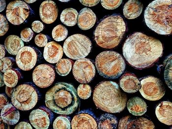 Full frame shot of logs in forest