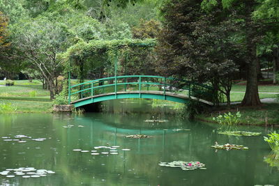 Scenic view of lake by trees