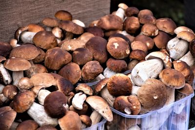 Porcini mushrooms for sale in small baskets in a street food market