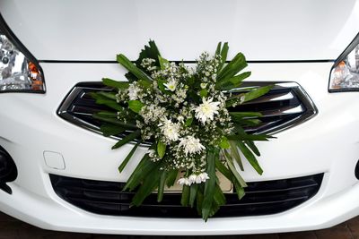 High angle view of flowers on car