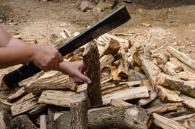 Cropped hands of woman cutting wood in forest