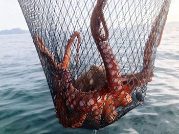 Close-up of fishing net in sea