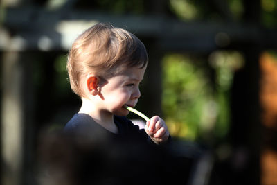 Close-up of boy holding leaf