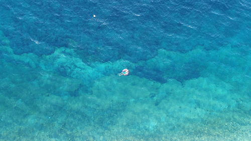 High angle view of swimming in sea