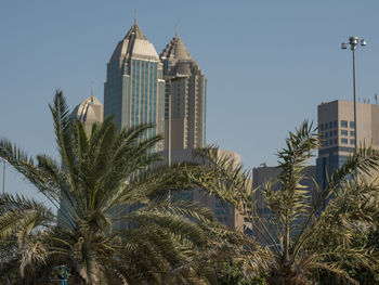 Low angle view of palm trees and buildings against sky