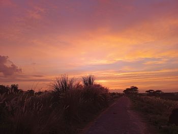 Scenic view of field against sky during sunset