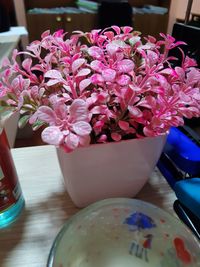 Close-up of pink flower vase on table