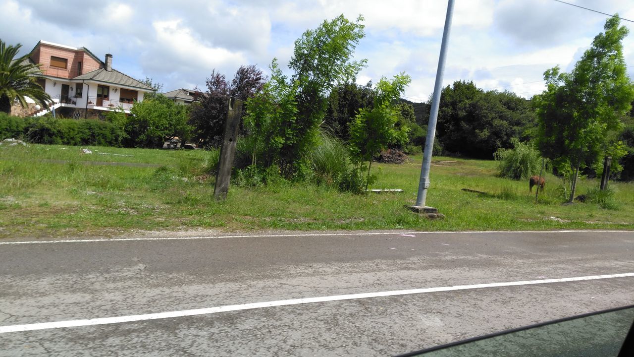 tree, road, day, built structure, architecture, grass, building exterior, house, sky, no people, outdoors, growth, nature