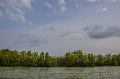 Scenic view of lake and trees against sky