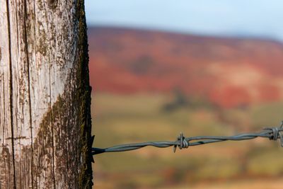 Close-up of barbed wire fence against sky