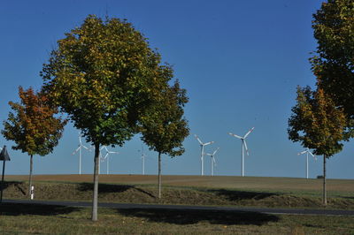 Trees on field against sky