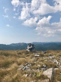 Scenic view of landscape against sky