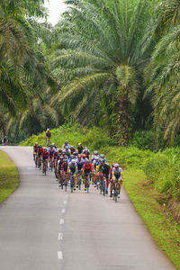 Cyclists riding bicycles during sports race 