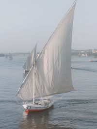 Sailboat sailing on sea against sky