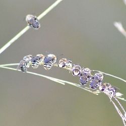 Close up of water