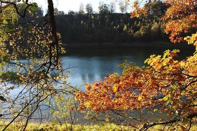 Reflection of trees in lake against sky during autumn