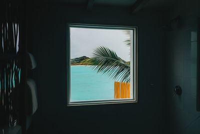 Reflection of palm trees on glass window