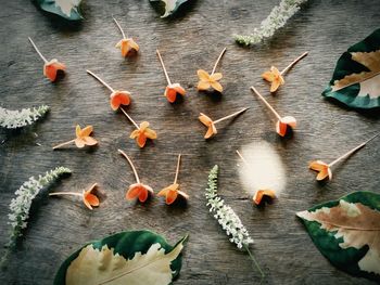 High angle view of leaves on table