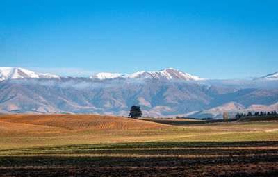 Scenic view of snowcapped mountains against clear blue sky