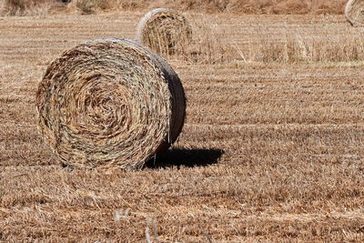 Hay bales in cyprus landscapes