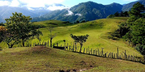 Scenic view of landscape against sky