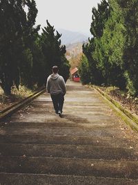 Rear view of a man walking on stairs along trees