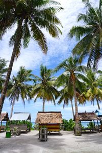 View of palm trees in front of calm blue sea