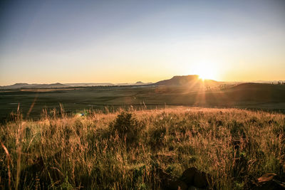 Scenic view of field against sky during sunset