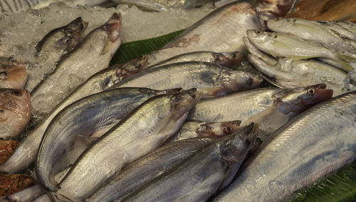 High angle view of fish for sale in market