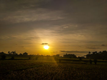Scenic view of field against sky during sunset