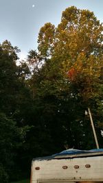 Low angle view of trees against sky