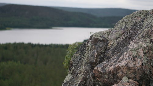 Close-up of rock against sky