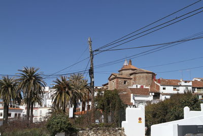 Panoramic view of palm trees against clear sky
