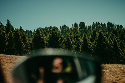 Close-up of car side-view mirror against trees