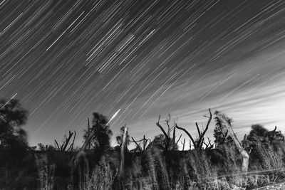 Scenic view of field against sky at night