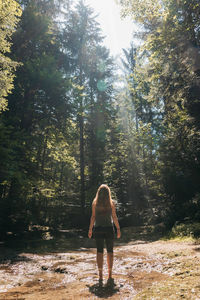 Rear view of woman standing amidst trees in forest