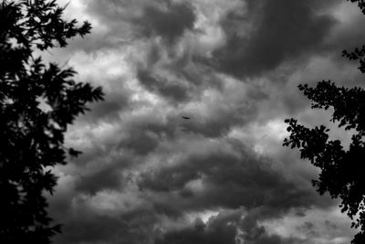 Low angle view of tree against cloudy sky