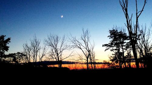 Silhouette of bare trees on landscape at sunset